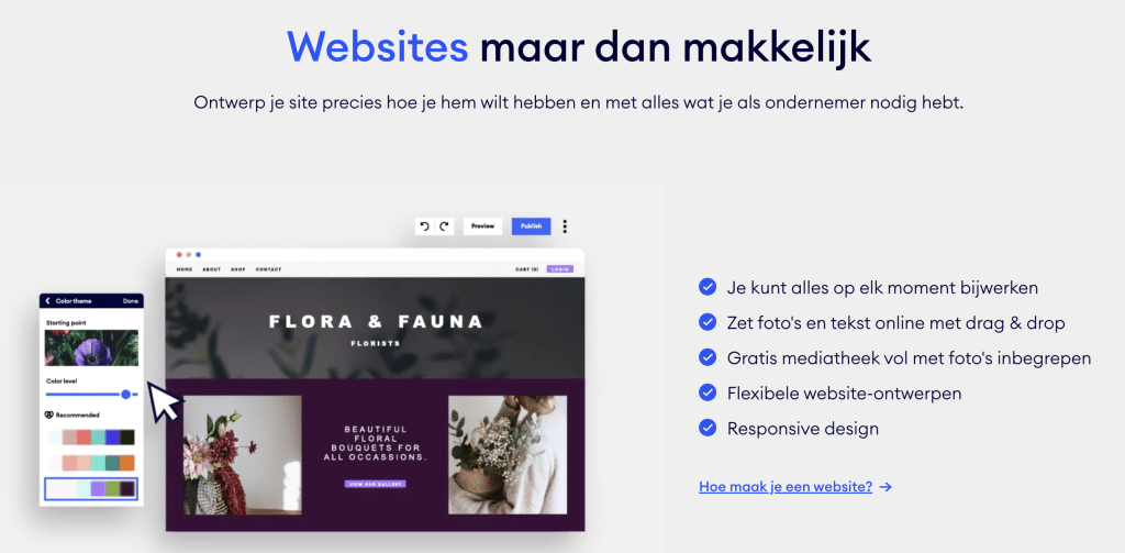 Website maken met AI (3)